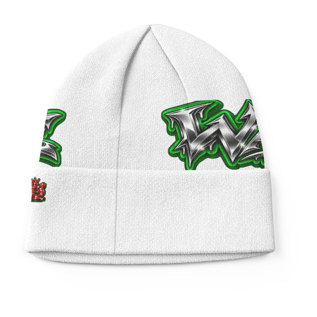 -- WAYNE COUNTY 313  Knitted Winter Hat
